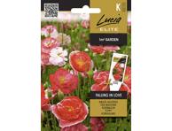 Aguonos FALLING IN LOVE