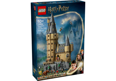 Konstruktorius HOGVARTSO PILIS: PAGRIND. BOKŠT. LEGO 76454, 1 vnt.