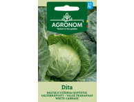 Kopūstų sėklos DITA,  AGRONOM