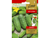 Agurkų sėklos CORVETA H,  LUCIA ELITE