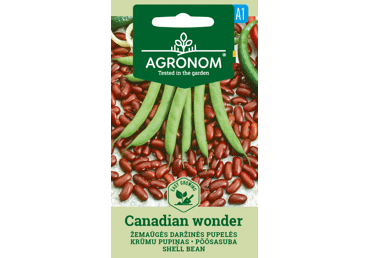 Pupelių sėklos CANADIAN WONDER,  AGRONOM