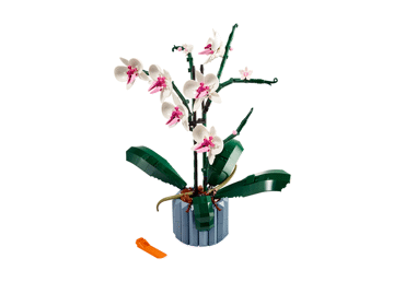 Konstruktorius LEGO TBD-ICON-LIFESTYLE, 10311, 1 vnt. - 2