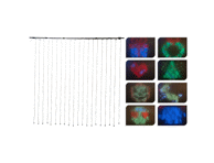 Elektrinė girlianda, 400LED