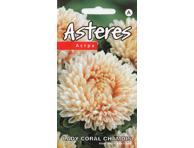 Astra Lady Coral