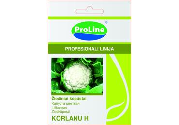 Žiediniai kopūstai  "Korlanu H" - 15s