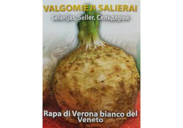 Salierai Rapa di verona bianco veneto 2