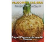 Salierai Rapa di verona bianco veneto 2