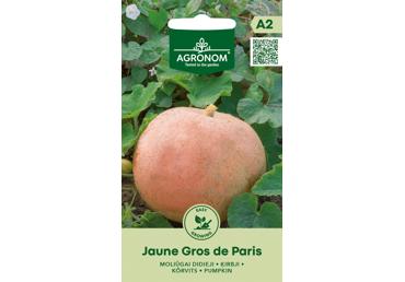 Moliūgai Jaune Gros de PARIS,  AGRONOM
