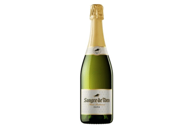 Putojantis baltasis sausas vynas SANGRE DE TORO BRUT, 750 ml