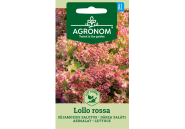 Salotų sėklos LOLLO ROSSA,  AGRONOM