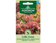 Salotų sėklos LOLLO ROSSA,  AGRONOM
