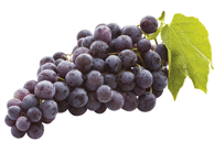 Mėlynosios besėklės vynuogės, 500 g