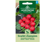 Ridikėlių sėklos SCARLET CHAMPION,  AGRONOM