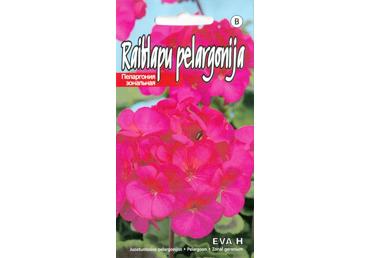 Pelargonijos EVA H