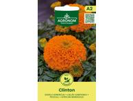 Serenčiai Clinton,  AGRONOM