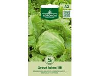 Salotų sėklos GREAT LAKES 118,  AGRONOM