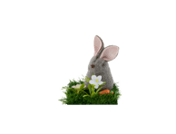 Velykų dekoracija, 2 dizainai, 7x7x10cm