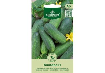 Agurkų sėklos SANTANA H, 1 g