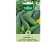 Agurkų sėklos SANTANA H, 1 g