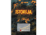 Formulių sąsiuvinis istorijai DISCO, 50 l., langeliais, su spirale