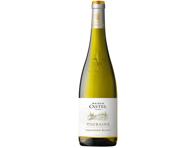 Baltasis sausas vynas MAISON CASTEL SAUVIGNON BLANC, 750 ml
