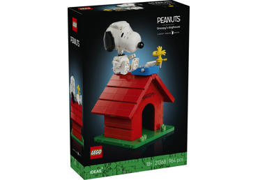 Konstruktorius LEGO IDEAS 21368