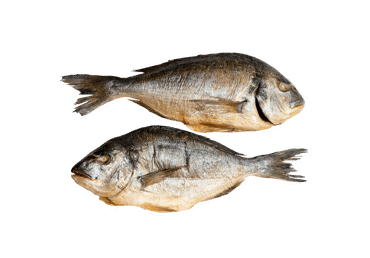 K.r.auksaspalvės dorados (lot. Sparus aurata), išdorotos, 1 kg
