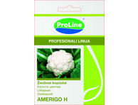 Žiediniai kopūstai  