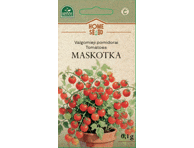 Pomidorai valgomieji Maskotka