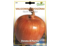 Svogūnai „Dorata di Parma“ - 1,5