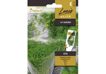 Krapų sėklos LENA,  LUCIA ELITE