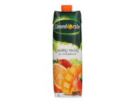 Įvairių vaisių sulčių gėrimas ELMENHORSTER su vitaminais, 1 l