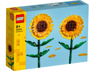 Konstruktorius LEGO SAULĖGRĄŽOS  