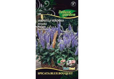 Verbena SPICATA BLUE BOUQUET (darželinė), 1 vnt.