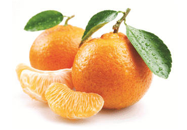 Dideli mandarinai (0-1 d.), 1 kg Dideli mandarinai (0-1 d.), 1 kg