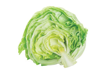 Gūžinės salotos ICEBERG, 10 d., 1 vnt. - 1