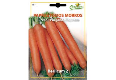 Morkos Berlicum 2 3