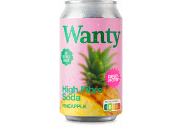 Gazuotas funkcinis gėrimas WANTY Pineapple, 330 ml