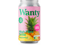 Gazuotas funkcinis gėrimas WANTY Pineapple, 330 ml