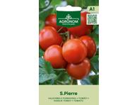 Pomidorai Saint pierre,  AGRONOM