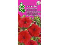 Petunija Scarlet Red