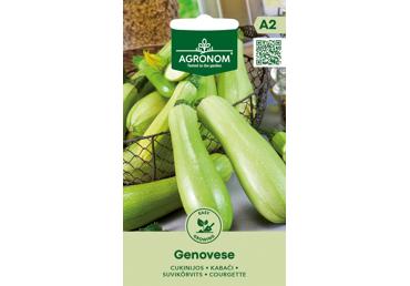 Cukinijos GENOVESE,  AGRONOM