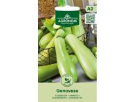Cukinijos GENOVESE,  AGRONOM