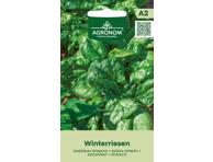 Špinatai Winterriesen 1 vnt. 