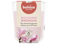 Kvapni žvakė stiklinėje BOLSIUS magnolia, 80, 73 mm