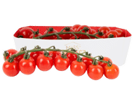 Smulkiavaisiai pomidorai su šakelėmis MIS PERFECT, 350 g