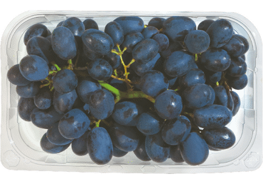 Mėlynosios besėklės vynuogės, 500 g - 2