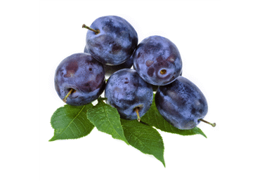 Mėlynosios slyvos LEPOTICA, 1 kg