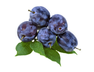 Mėlynosios slyvos LEPOTICA, 1 kg