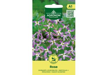 Dviragės leukonijos Rose,  AGRONOM
